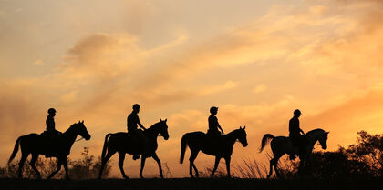 Horse riding Africa