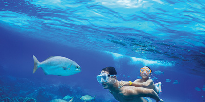 Snorkelling, South Pacific